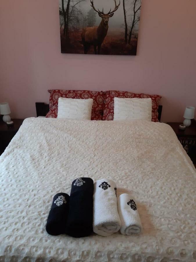 Apartament Wspanialy. Kowary Bagian luar foto